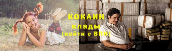 кокс Аркадак