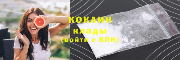 винт Губаха